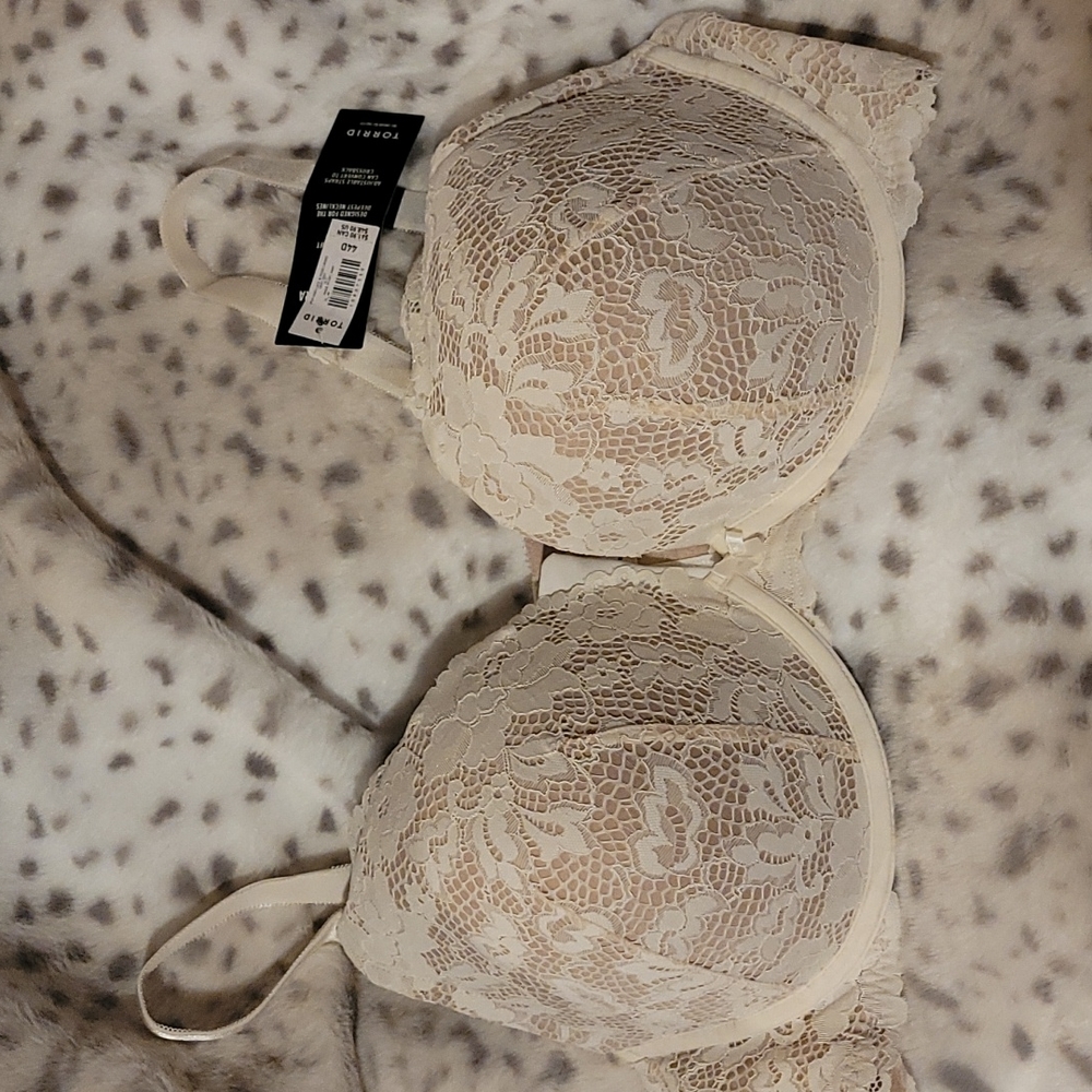NWT torrid 44D push up plunge